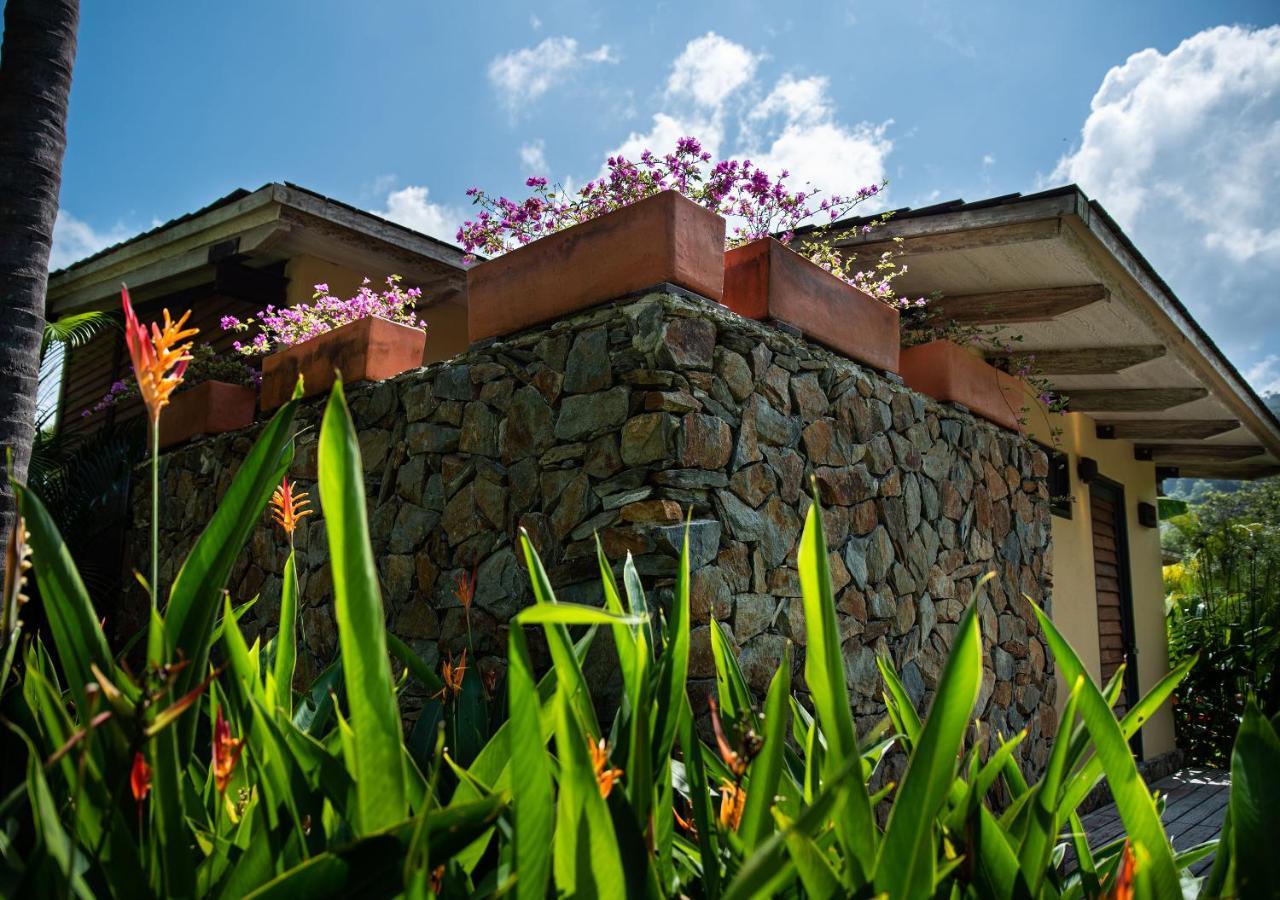 Gardenia Springs Hotel Buritaca Kültér fotó
